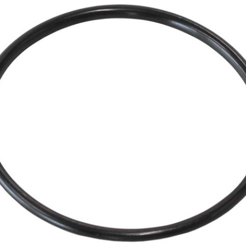 REPLACEMENT O-RINGS FOR -16   CAP 1X EPR & 1X BUNA N O-RING